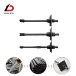 Standard/Customized Steel Formwork Construction Fasteners Anchor Rod