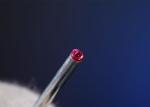Low FrictionWire Guide Stainless Steel Needles For Full Automatic Stator Winder