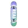 Buy cheap Island Real Oval Complete Skateboard Anti Rust 7.75" X 31.6" from wholesalers