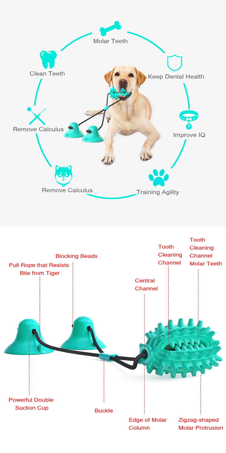 Multi-function Creative Hot Selling Double Suction Cup Stick Dog' Chew Toy Toothbrush
