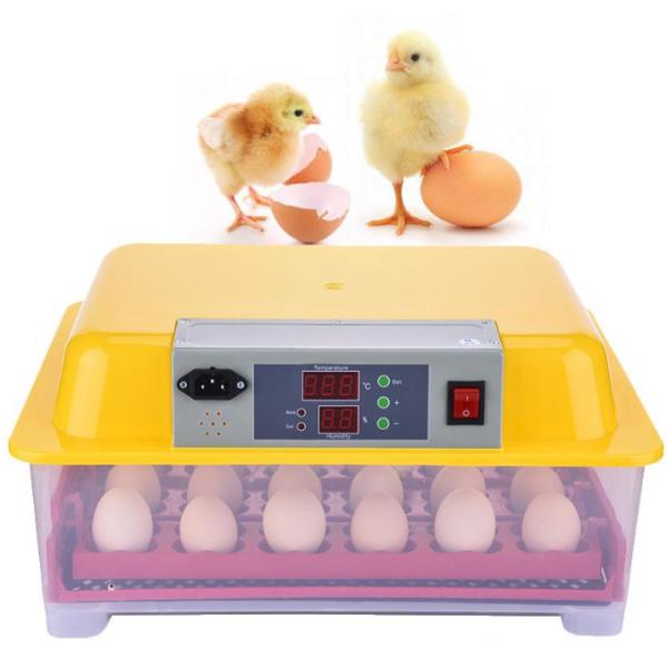 Plastic Commercial Egg Incubator , Egg Hatching Incubator High Low Temperature