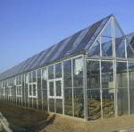 Commercial Photovoltaic Greenhouse with Film Cover Material and Unheated Heating