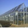 Buy cheap Commercial Photovoltaic Greenhouse with Film Cover Material and Unheated Heating from wholesalers