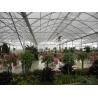 Buy cheap The Perfect Multi-Span Fogging Greenhouse for Hydroponic/Soilless/Stromal Cultivation from wholesalers