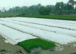 Spunbond Non Woven Agriculture Cover Fabric , Landscape PP Fabrics for Green