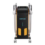 Non Invasive Body Shaping Slimming Machine 50Hz 60Hz EMS Fat Burning Machine
