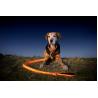 Buy cheap Orange Color LED Dog Leash USB Rechargeable from wholesalers