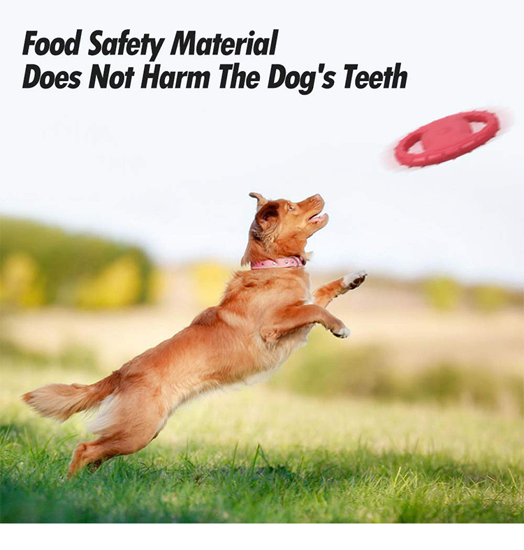 Chengbei Pet Products EVA Pet Toys for Dogs Interactive Movement Chengbei Training Supplies EVA Material
