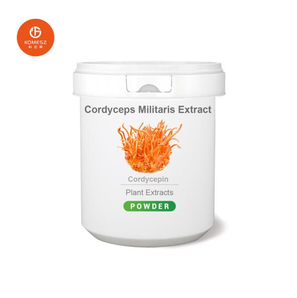 High Quality Cordyceps CS-4 / Cordyceps Militaris Extract / Cordyceps Sinensis