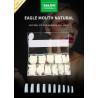 Buy cheap Fake Nail Full Cover Natural ABS Eagle Mouth Clear In 12 Sizes For Nail Salon from wholesalers