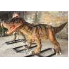 Buy cheap T Rex Life Size Realistic Dinosaur Model For Science Museum Exhibits from wholesalers