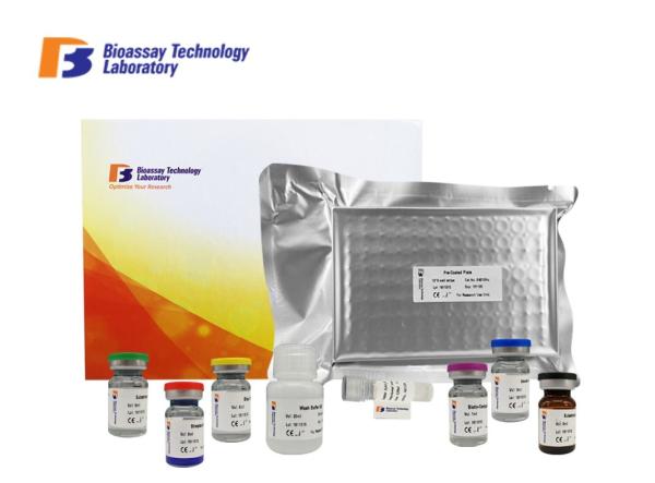 Adrenocorticotropic Hormone Porcine ELISA Kit For Accurate Quantitative