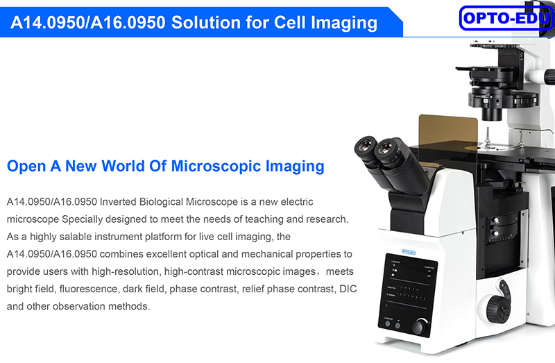 Opto Edu A14.0950 Research Level Inverted Biological Microscope Mortorized Condenser