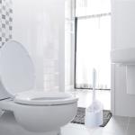 Anti Slip Base Hard Bristle Toilet Brush With Holder Good Grips Hideaway Compact