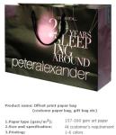 pp rope paper bag/paper shopping bag with 15 years experience/bolsa de papel