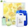 Buy cheap Perfume Oil Organic Bulk Fragrance Oils For Branded Perfume Free Sample Oud Perfume from wholesalers