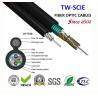 Buy cheap HDPE Double Sheath GYTA53/GYTS53 Single Mode Armored about Direct Buried Outdoor Fiber Optic Cable from wholesalers