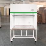 Economical Horizontal Laminar Flow Cabinet Clean Bench Custom Logo Design