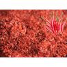 Buy cheap Powder Shape Hotness Dried Chilli , Natural Spices For Cooking 160 - 210 ASTA from wholesalers