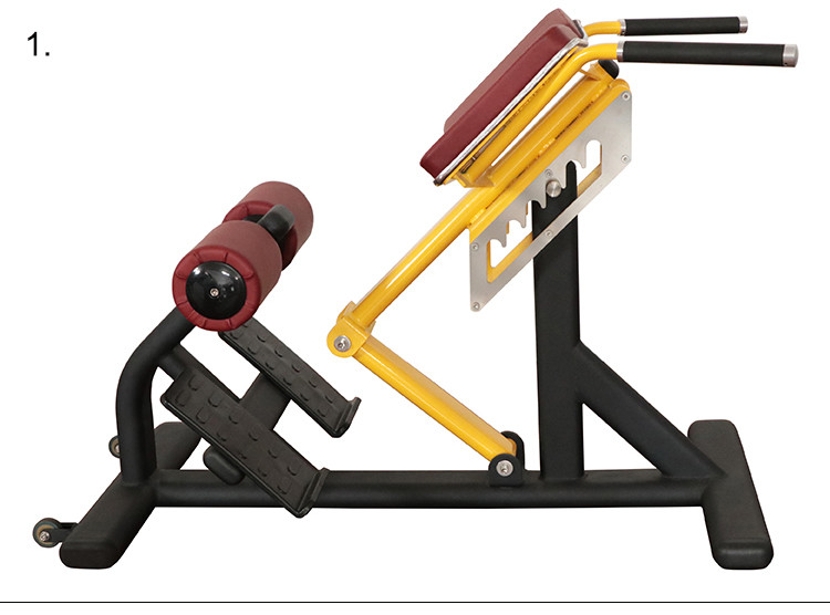 Pro Commercial Gym Rack And Fitness Equipment Roman Ab Exercise Chair