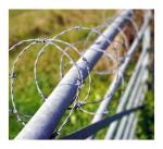 Traditional Galvanized Barbed Wire Coil 400M 500M 50Kg Per Roll Steel 5mm