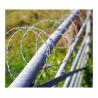 Buy cheap High-Quality Galvanized Barbed Wire Security Fence 500 Meters Barbed Wire Prices from wholesalers