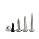 Finish OEM ODM Stainless Steel Phillips/Torx Pan Washer Head Self Tapping