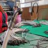 Buy cheap SAE J1401 Hydraulic Brake Hose Assembly Stainless Steel DOT Certified from wholesalers