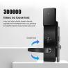 Buy cheap Hotel Magnetic Card Induction Lock Mechanical Key Wooden Smart Door Lock OEM System from wholesalers