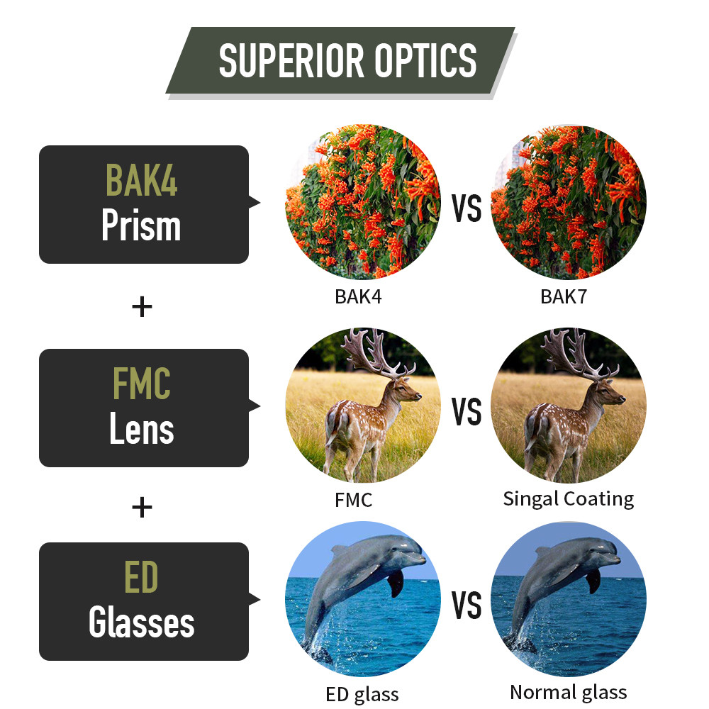 Waterproof 8x42 Roof Prism Binoculars For Hunting