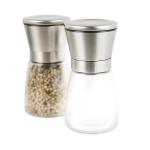 Stainless Steel 132mm 235g 170ml Glass Salt Bottle