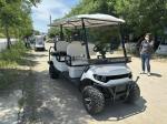 Double-Pupil 6-Seater Lithium Battery Electric Golf Cart With Customizable Color