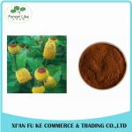 GMP Manufacturer Supplying High Quality Healthy for Hair Spilanthol 10:1 Acmella