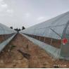 Buy cheap Single Tunnel Uv Hydroponic Film Single Span Greenhouse For Watermelon Growing from wholesalers