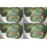Buy cheap Camouflage Aramid Vest / Bullet Proof Vest For Personal Protection Purpose from wholesalers