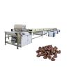 Buy cheap 200kg/H Copeland Chocolate Chip Making Machine from wholesalers