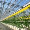 Buy cheap Hydroponic Glass Greenhouse for Flowers Shipping Cost and Estimated Delivery Time from wholesalers