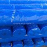 Waterproof and Dustproof PE Tarpaulin Fabric Perfect for Outdoor Umbrella