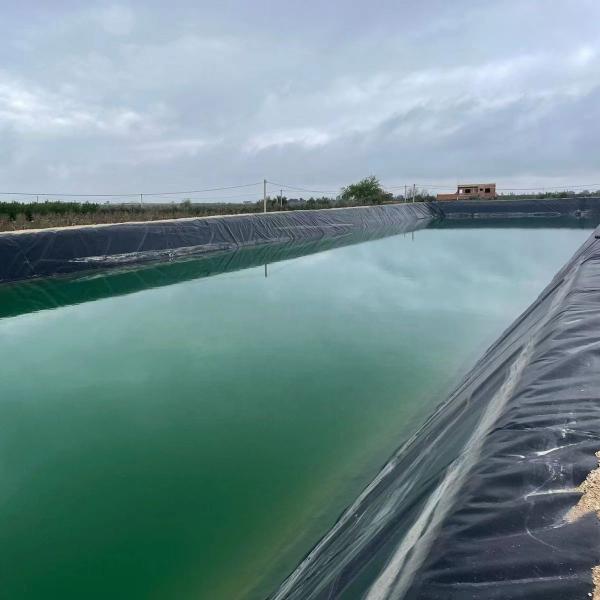 High Density Polyethylene Geomembrane for Waterproof Projects 1mm Thickness 2m