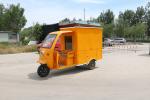 Foldable Handy Dragonfly Tricycle with Disc Brake and Performance