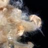 Buy cheap 1.5D 2D Natural Protein Soybean Fiber UV Protection Antibacterial from wholesalers