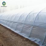 0.20mm Cucumber Plant Pe Film Single Span Greenhouse