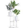 Buy cheap Easy Assemble Lucite Acrylic Plant Stand , Acrylic Flower Display Stand Shelf from wholesalers