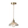 Buy cheap Modern Glass Flower Pendant Light Fixture Luminaire Kitchen Dining Room Restaurant Decoration Hanging Lamp(WH-GP-56) from wholesalers