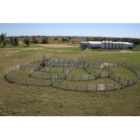 Buy cheap 30pcs Bundle Heavy Duty Portable Cattle Panels For Sale & Gate product