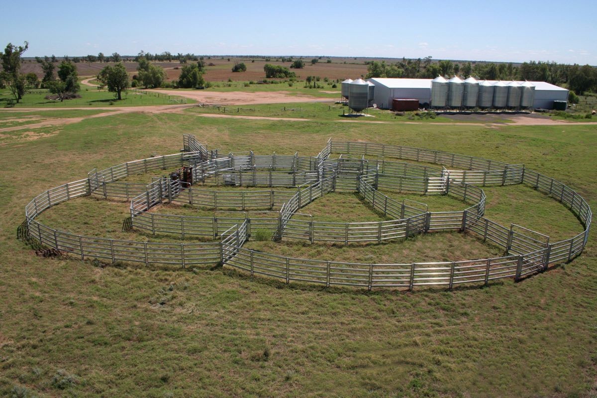 Six Bars Heavy Duty Metal Oval Rai Portable Corral Panels For Cattle