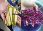 Catering Industry 750W Plantain Banana Slice Fruit Processing Equipment