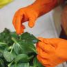 Buy cheap S Waterproof Anti Oil Unlined Rubber Gloves from wholesalers