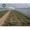 Buy cheap Anti Wind Agriculture Plastic Film Greenhouse Single Span / Multi Span Tunnel from wholesalers