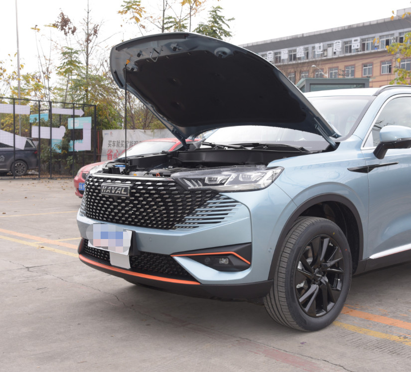 Haval H6 2021 Third Generation 2.0T Auto 4WD Supreme Plus SUV Gasoline